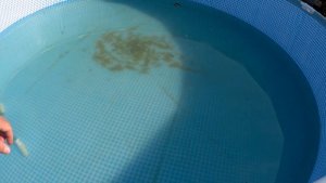 Убираю бассейн на зиму.