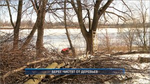 Рыбинск-40. БЕРЕГ ЧИСТЯТ ОТ ДЕРЕВЬЕВ