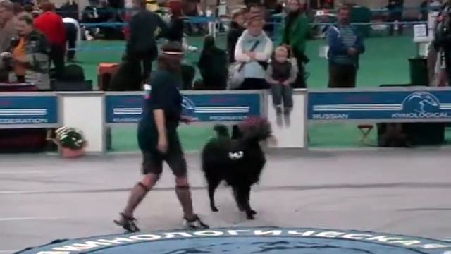 Попова Людмила и грюнендаль Форд. «Вперед! Россия!» смотреть онлайн