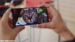 Sony Xperia 1 II Android 13 Update