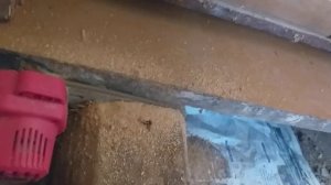 Мини пила цепная, Эдон. Практическое ознакомление с нюансами и работой.