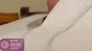 Выбор моющихся обоев