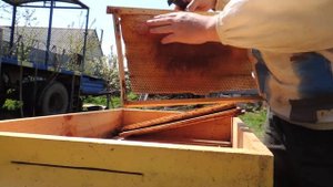 Пасека 2018/как моль ЖРЁТ соты/как храню