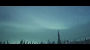 in the end||i tried so hard song||bmw car status. linkin park