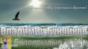 Владимир Бунчиков - Белокрылые чайки