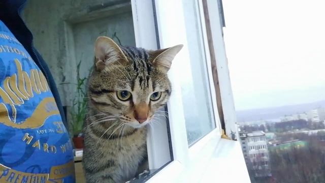 А чего это вы тут делаете? смотреть онлайн