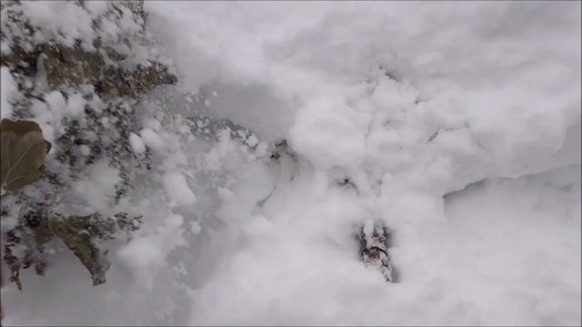 3 СПОСОБА ЗАПАРИТЬ ВЕНИК ДЛЯ БАНИ ПО КОММЕНТАРИЯМ ЗРИТЕЛЕЙ смотреть онлайн