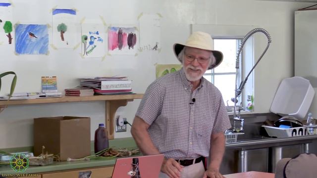 Allium Production Part 3 смотреть онлайн