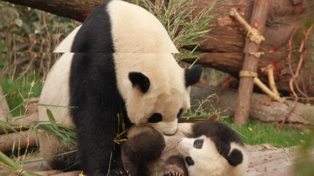 Красивая китайская музыка \ Музыка для души смотреть онлайн