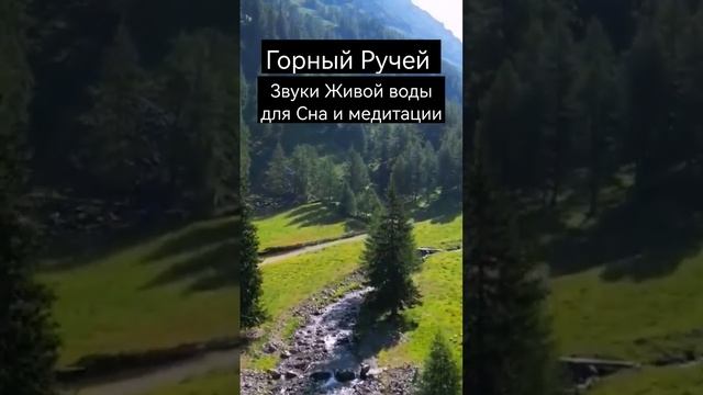 Горный Ручей. Звуки Живой природы для Сна и медитации.Полная версия по ссылке ⬇️ИСПОЛЬЗОВАНО