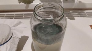 Триходерма своими руками из глиоклодина на перловке