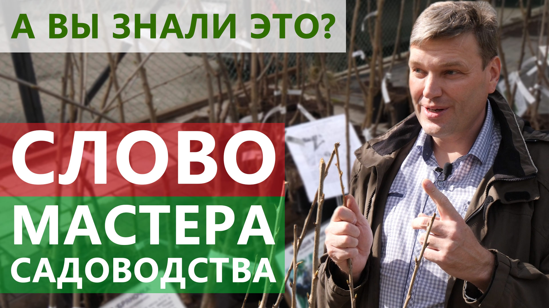 Никогда таких ценных советов по садоводству вы не слышали! Дзен мастера садоводства