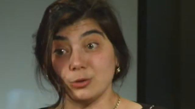 История  создания  школы 1311 Липмана