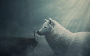 ОПРЕДЕЛЕНИЕ НАХОЖДЕНИЯ ЧЕЛОВЕКА ПОД ВЛИЯНИЕМ КОНКРЕТНОЙ ГУНЫ МАТЕРИАЛЬНОЙ ПРИРОДЫ. Леонид Тугутов.