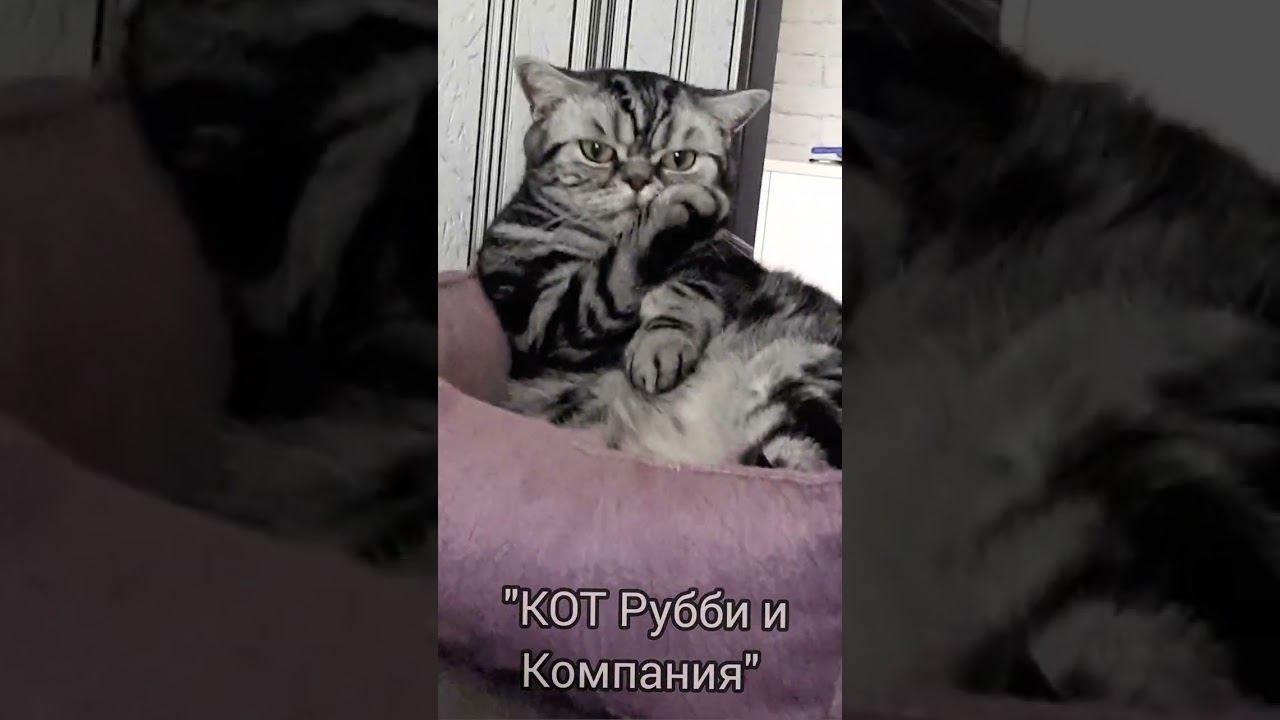 Мой потешный Котик!!!