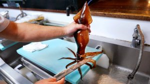 Танцующий Кальмар Сашими. Токио, морепродукты Япония.
