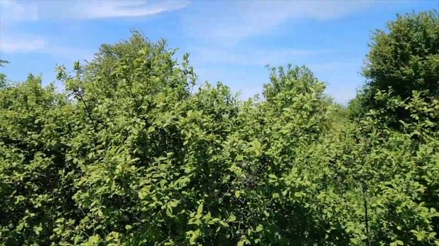 3вездная готово смотреть онлайн