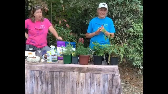 Putting Your Garden to Sleep Pt 2 смотреть онлайн