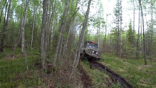 ЗAБОЛОЧЕННЫЙ ЛЕС . Девятый день. смотреть онлайн