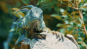 ТОП 7 МИФОВ о рептилиях и амфибиях. В которые МЫ ВЕРИМ!