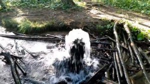 Гатчинские гейзеры