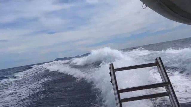 Катамаран Seedoff смотреть онлайн