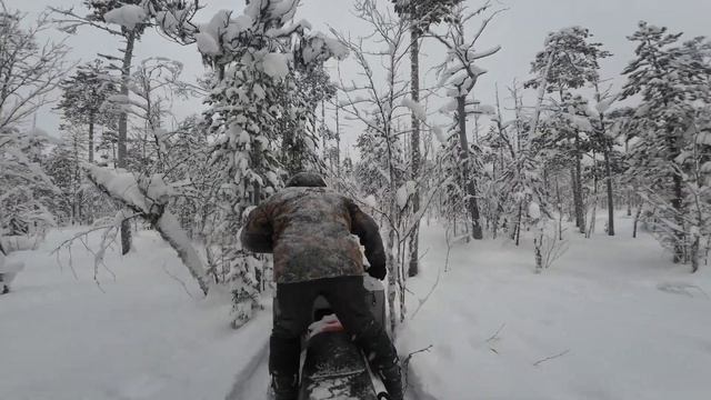 Снегоход Ураган SWT. Пробираюсь лесом. Конкурент СМ-002 смотреть онлайн