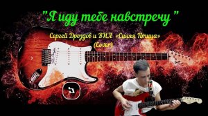 Я иду тебе навстречу (Cover) Сергей Дроздов и ВИА «Синяя Птица»