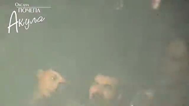 Оксана Почепа(Акула)Ростов-на-Дону(Россия) - Сон моЙ !) (1999) смотреть онлайн