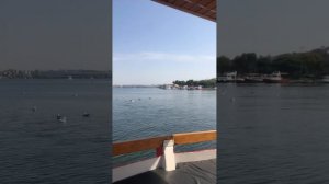 Прогулка по Босфору: Впечатляющие виды Стамбула с корабля 🚢🌊