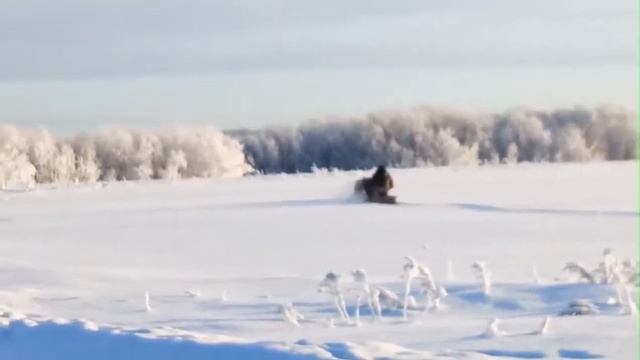 Обзор поездки по глубокому снегу на мотобуксировщике МУЖИК смотреть онлайн