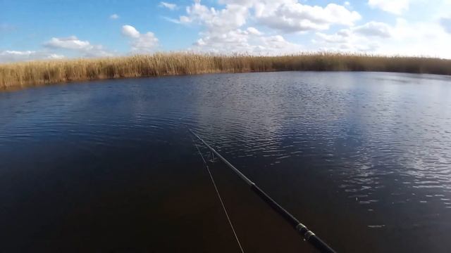 Рыбалка в Краснодарском крае. Ловля щуки на лиманах в ноябре! смотреть онлайн