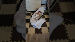 Электрокачалка 4moms mamaroo 2.0