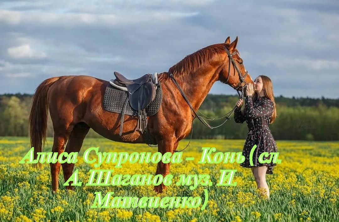 Алиса Супронова - Конь (сл. А. Шаганов муз. И. Матвиенко).mp4