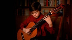 Royal Plum Pudding - Andrew York • Performed by Pavel Evseev (9)