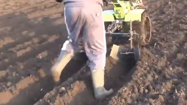 Посадка картофеля 2016 мотоблоком с культиваторным окучником дисковый окучник смотреть онлайн