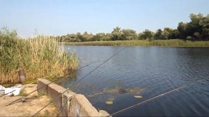Рыбалка в Казачьих Лагерях