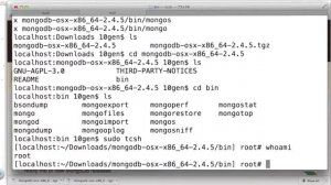 06  Installing MongoDB mac