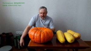 Как хранить тыкву правильно