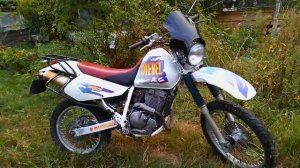 Suzuki Djebel 250