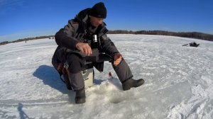 ГВОЗДЕШАРИК рулит. Рыбалка в начале марта 2022.