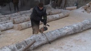 ✅Электропила на фанерном производстве. ?Отзыв работников Латофлекс. Раскряжевка бревен с ЭПЧ-3