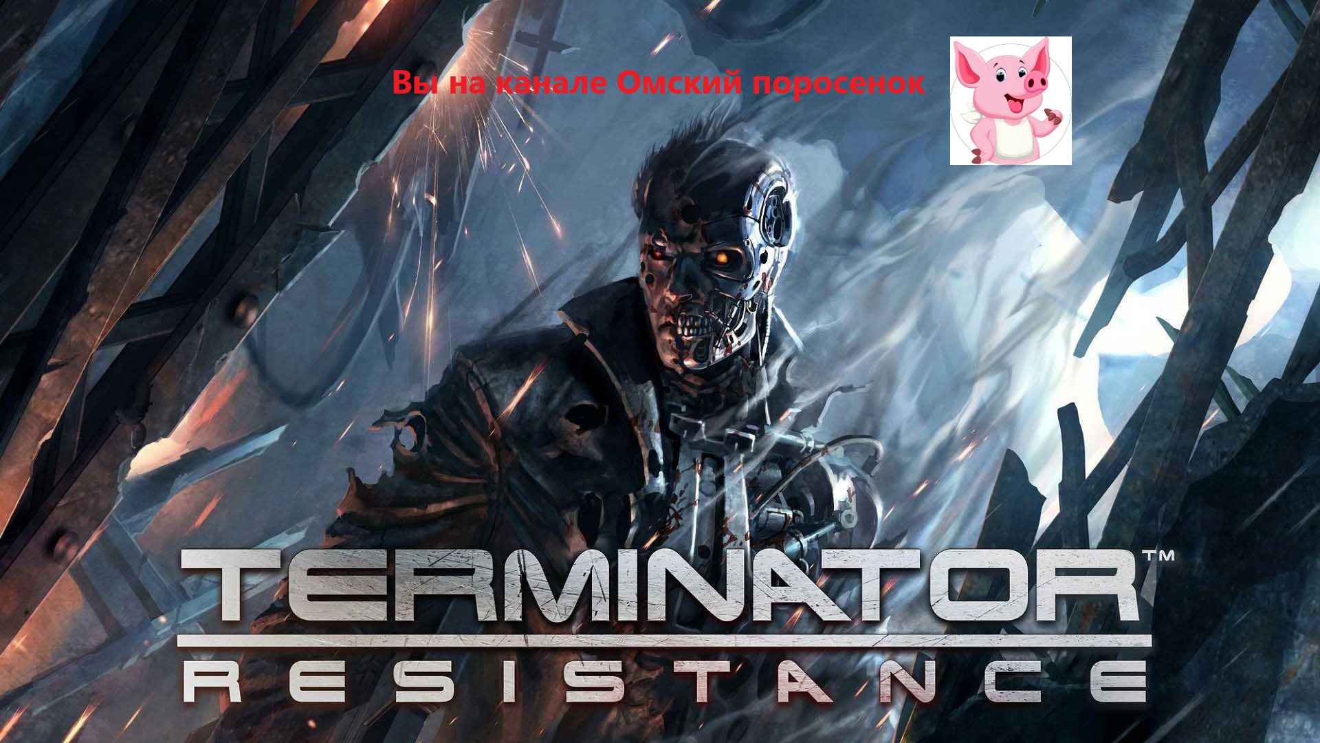 Terminator: Resistance