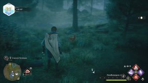Hogwarts Legacy / Хогвартс Наследие. Квест: Возьмите печеньку на Playstation 5