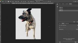 PhotoShop: Object Selection Tool