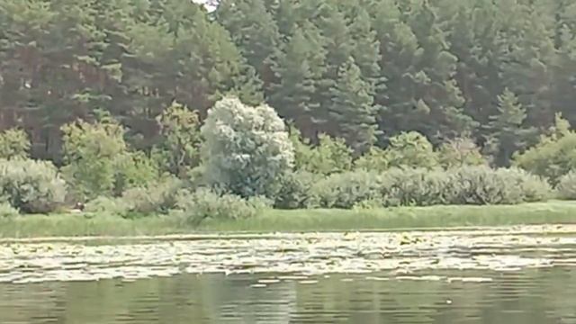 Отчет о рыбалке. смотреть онлайн