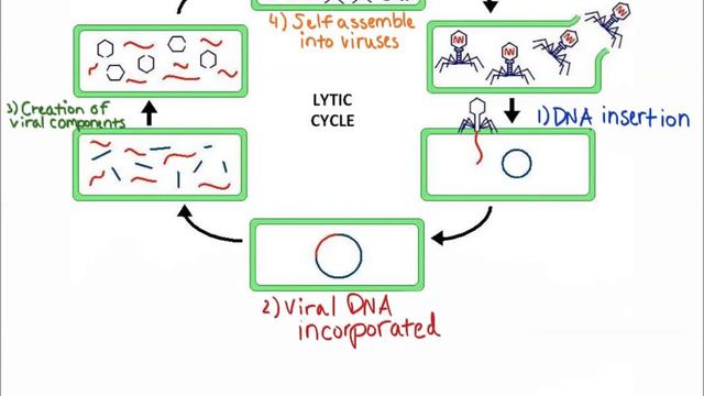 VIRUSES смотреть онлайн