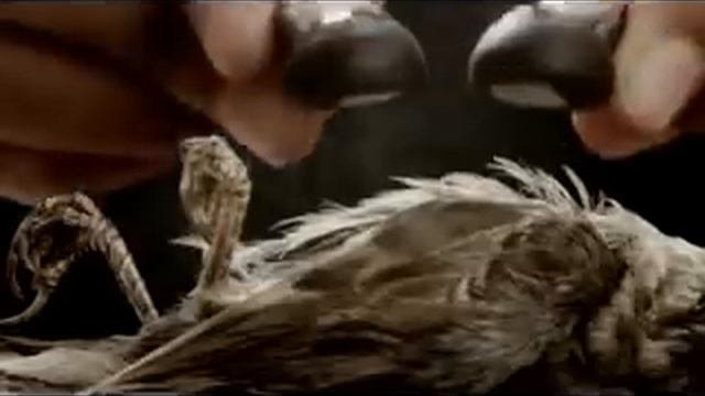 На что способна музыка
