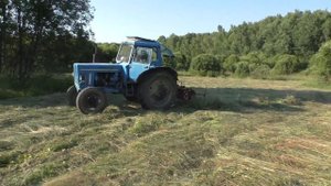 #179 Заготовка сена 2021. Сделали ворошилку от мотоблока под мтз-80