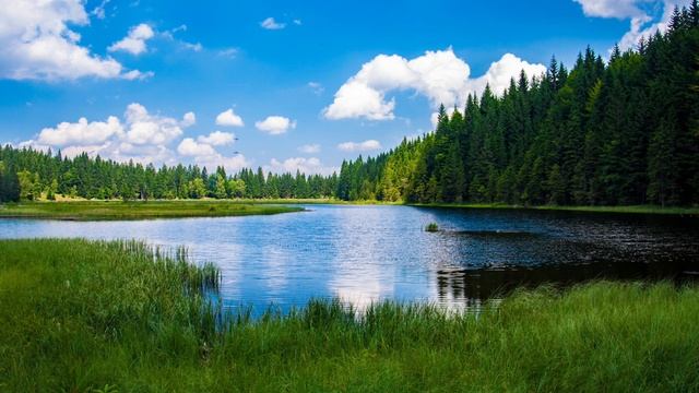 Трогательная песня! "Когда наступит время тех последних дней" Красивые Христианские песни смотреть онлайн